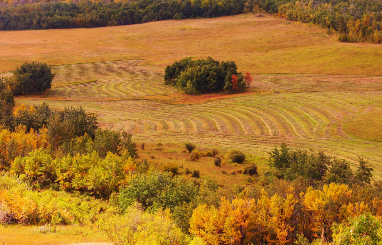 Services_LandManagement_CTABanner_Web